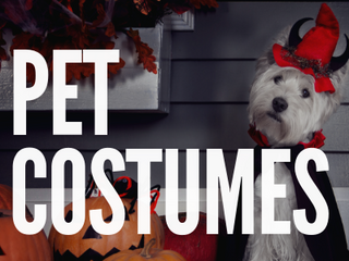 Pet Costumes