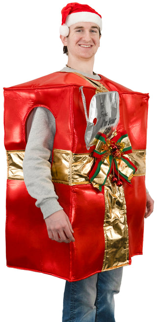 Adult Standard Gift Box Costume