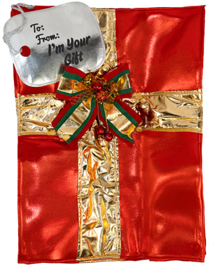 Adult Standard Gift Box Costume