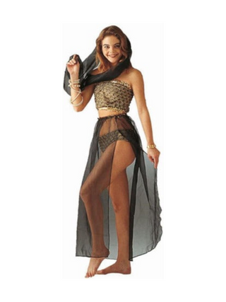 Adult Arab Princess Costume