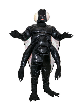 Adult Deluxe Fly Costume