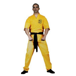 Bruce Lee Yellow Karate Suit