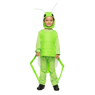 Disfraz infantil de saltamontes verde