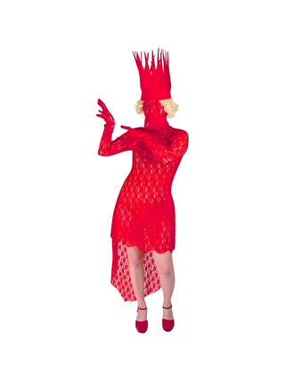 Pop Singer Diva Costume