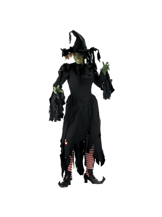 Adult Tattered Witch Costume