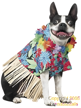 Tiki Fun Dog Costume