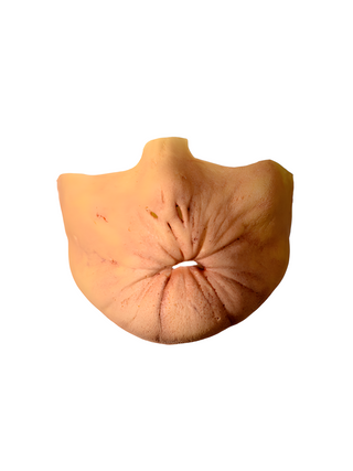 Preacher Arseface Costume Appliance Kit