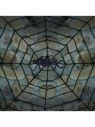 Spiderweb with Spider Prop
