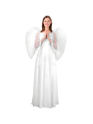 Adult Large White Feather Angel Wings