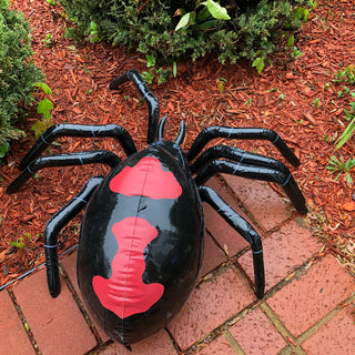 Inflatable Black Widow Spider - 30 inch