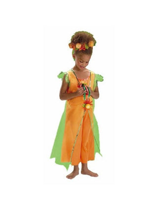 Child's Pumpkin Princess Costume-COSTUMEISH