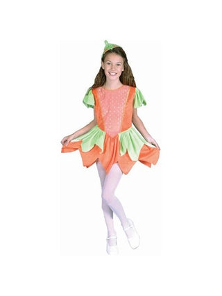 Child's Pumpkin Princess Costume-COSTUMEISH