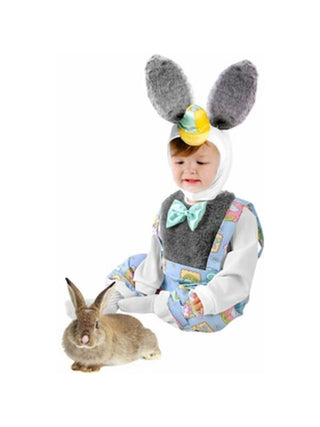 Toddler Boy Nursery Rhyme Bunny Costume-COSTUMEISH