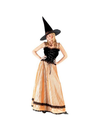 Adult Elegant Witch Costume-COSTUMEISH