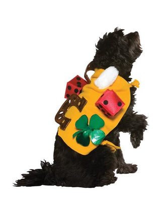Lucky Dog Costume-COSTUMEISH
