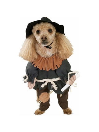 Wizard of Oz Scarecrow Dog Costume-COSTUMEISH