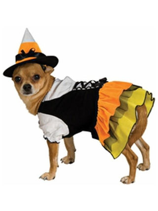 Candy Corn Witch Dog Costume-COSTUMEISH