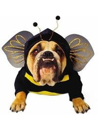 Bumble Bee Dog Costume-COSTUMEISH