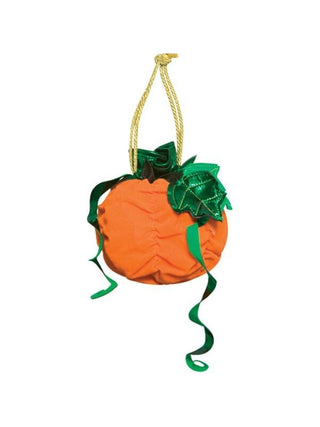 Adult Pumpkin Witch Handbag-COSTUMEISH