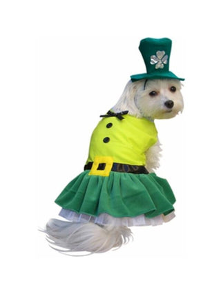 Leprechaun Girl Dog Costume-COSTUMEISH