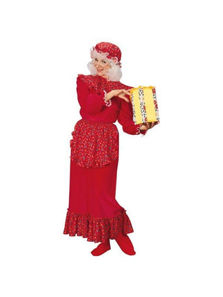 Adult Old Mrs. Claus Costume-COSTUMEISH
