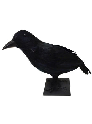Large Crow With Closed Wings-COSTUMEISH