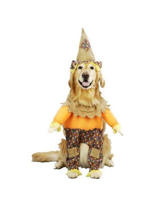 Scarecrow Dog Costume-COSTUMEISH